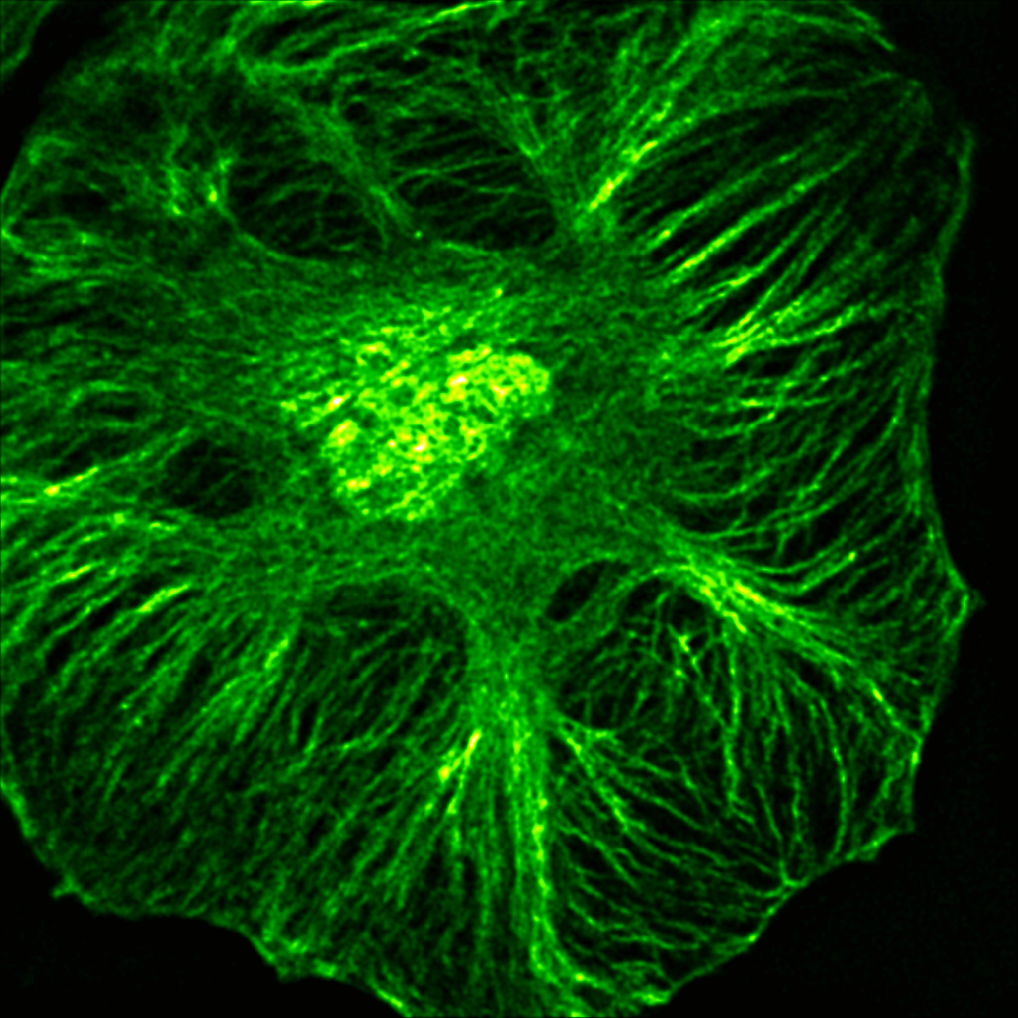 Two-dimensional RIED-ECL reconstruction